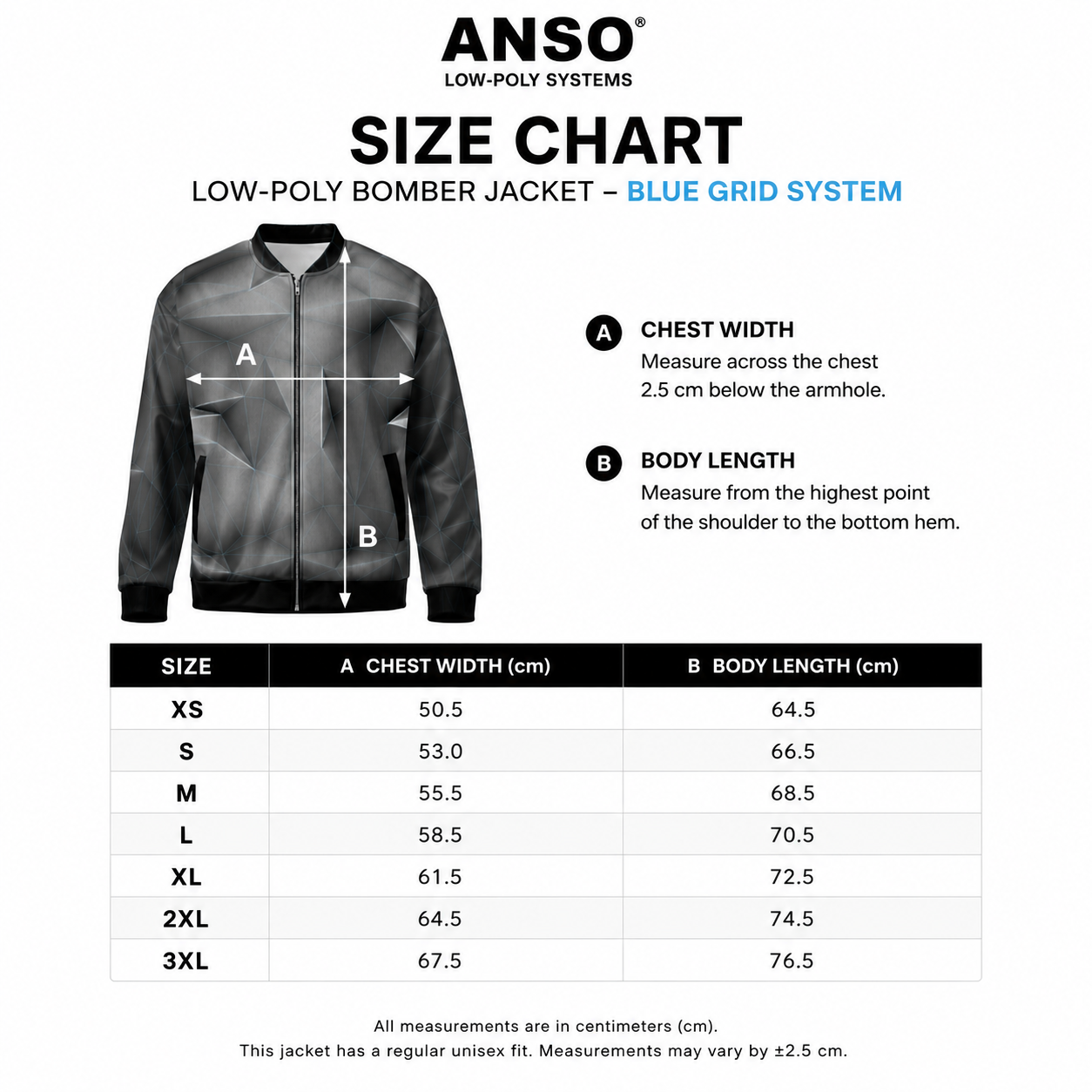 Size chart for ANSO Low-Poly Systems bomber jacket with measurements and jacket image.