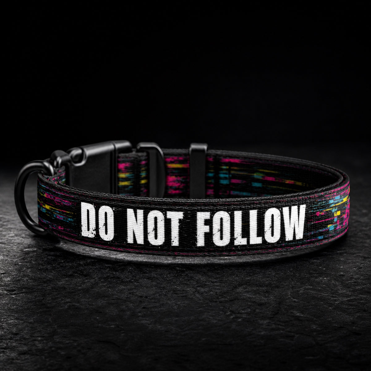 SilverWEAR — DO NOT FOLLOW Pet Collar