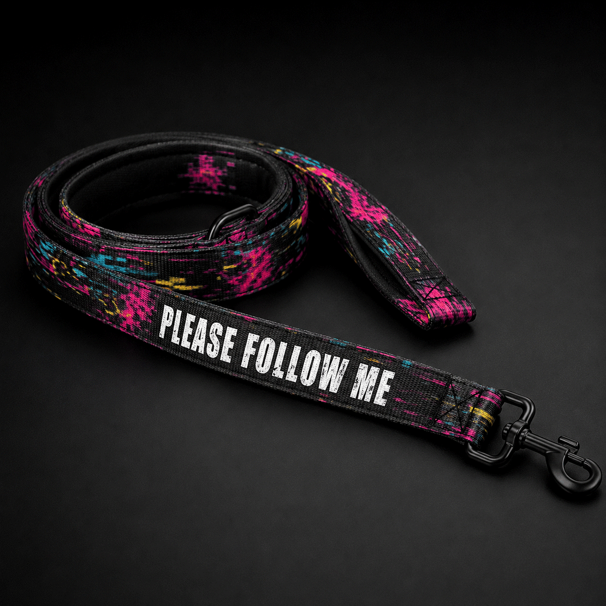 SilverWEAR — PLEASE FOLLOW ME Pet Leash