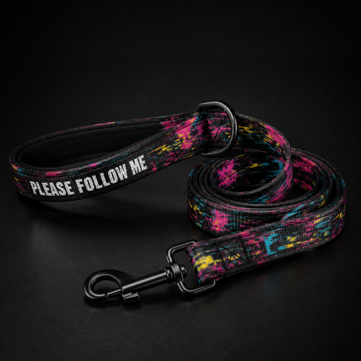 Colorful dog leash with 'Please Follow Me' text on a black background