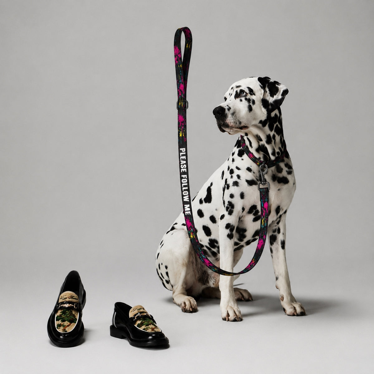 SilverWEAR — PLEASE FOLLOW ME Pet Leash