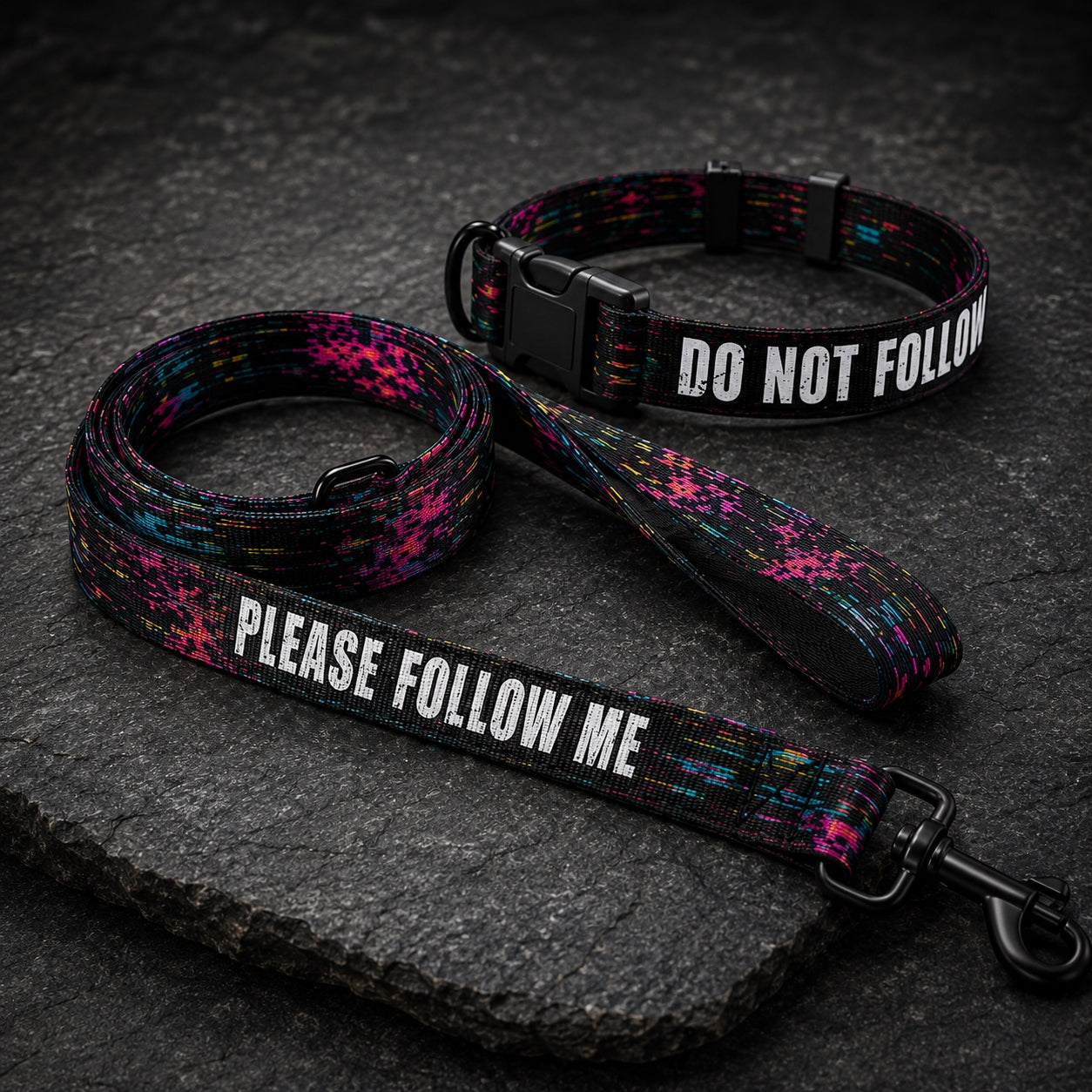 Dog collar and leash set with text 'Do Not Follow' and 'Please Follow Me' on a dark surface