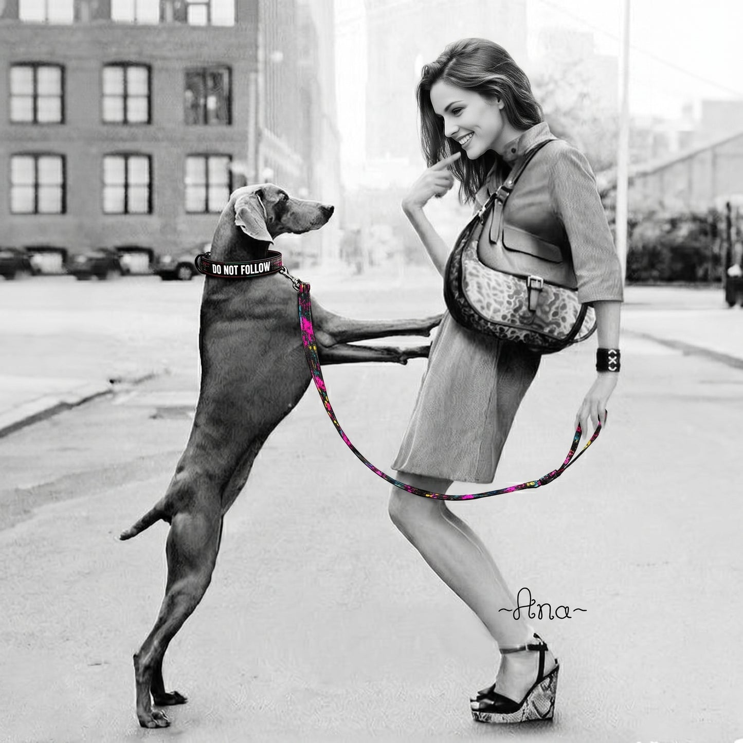Woman and dog on a city street with a colorful hula hoop