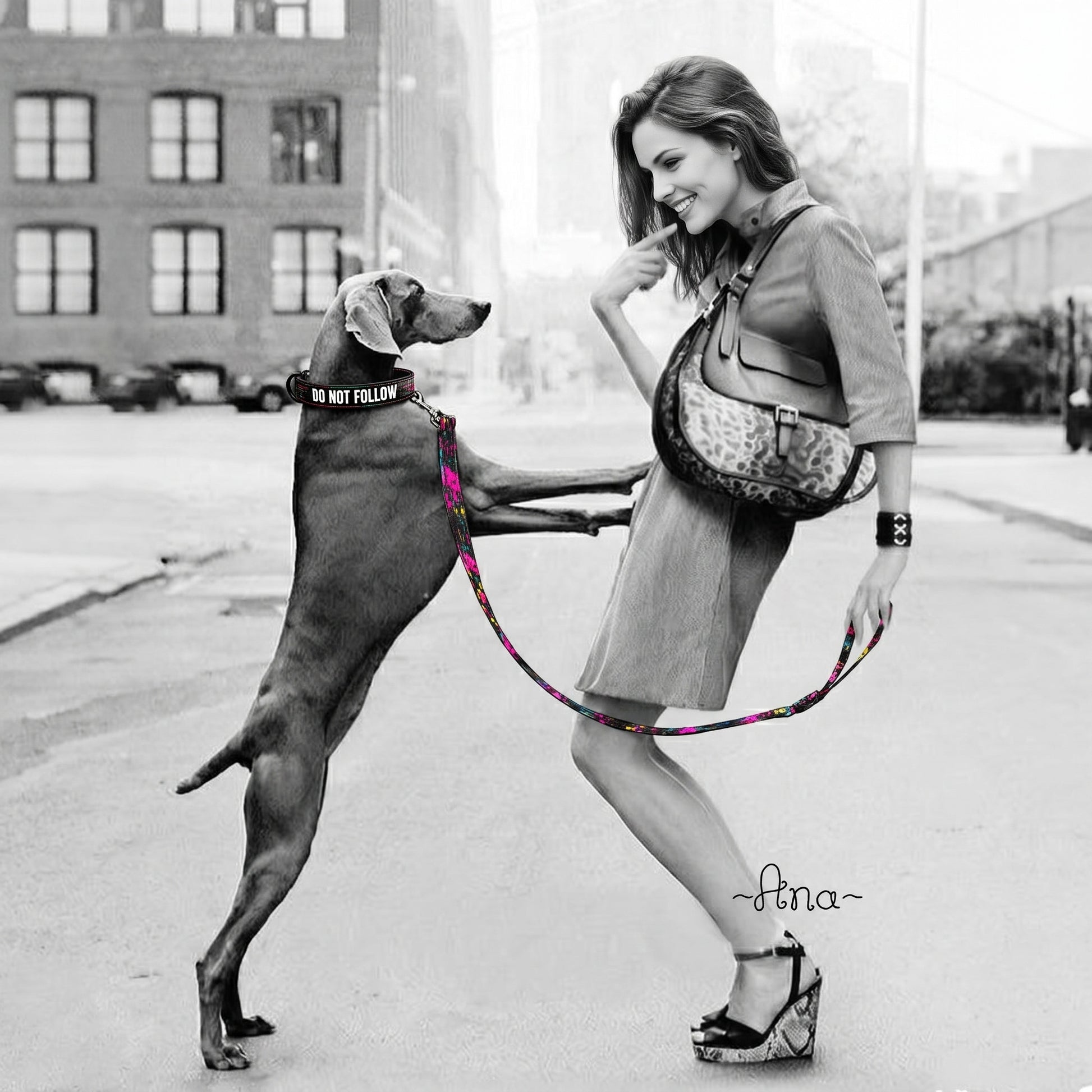 Woman and dog on a city street with a colorful hula hoop