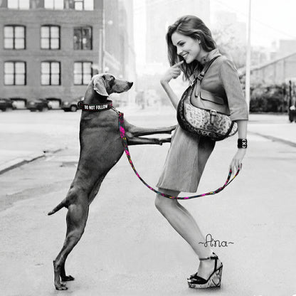 Woman and dog on a city street with a colorful hula hoop
