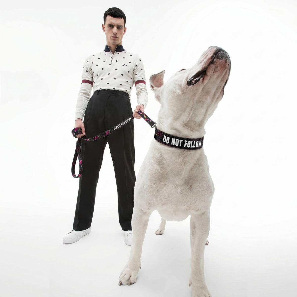 The Glitch Dog // Collar + Leash Set