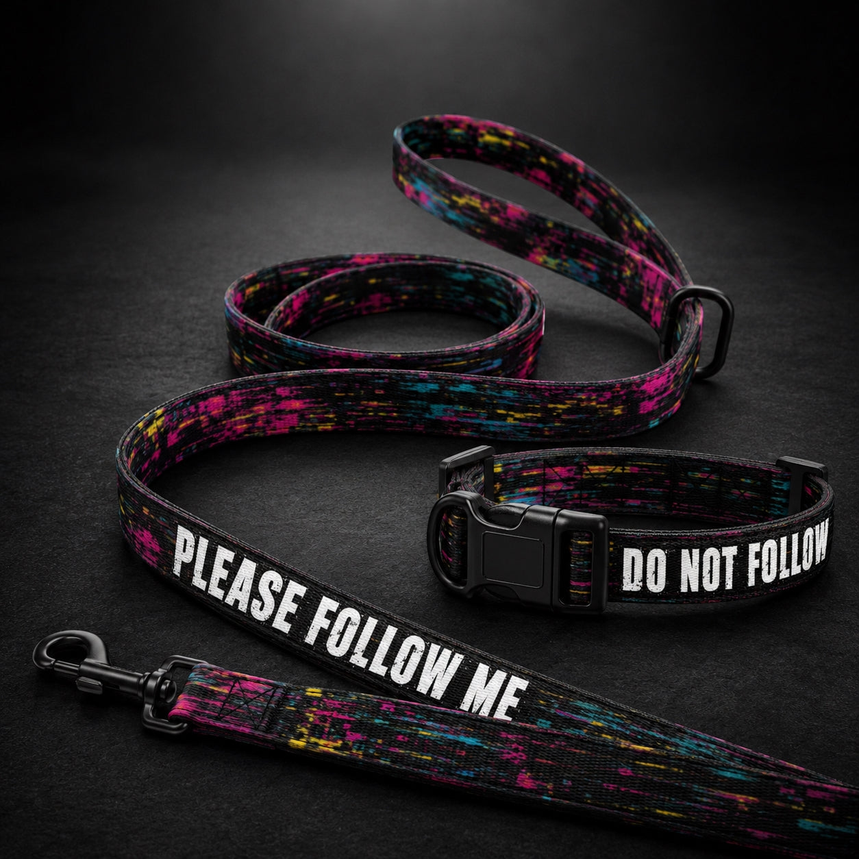 Dog collar, leash, and tag with text on a dark background