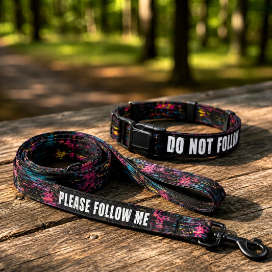 The Glitch Dog // Collar + Leash Set