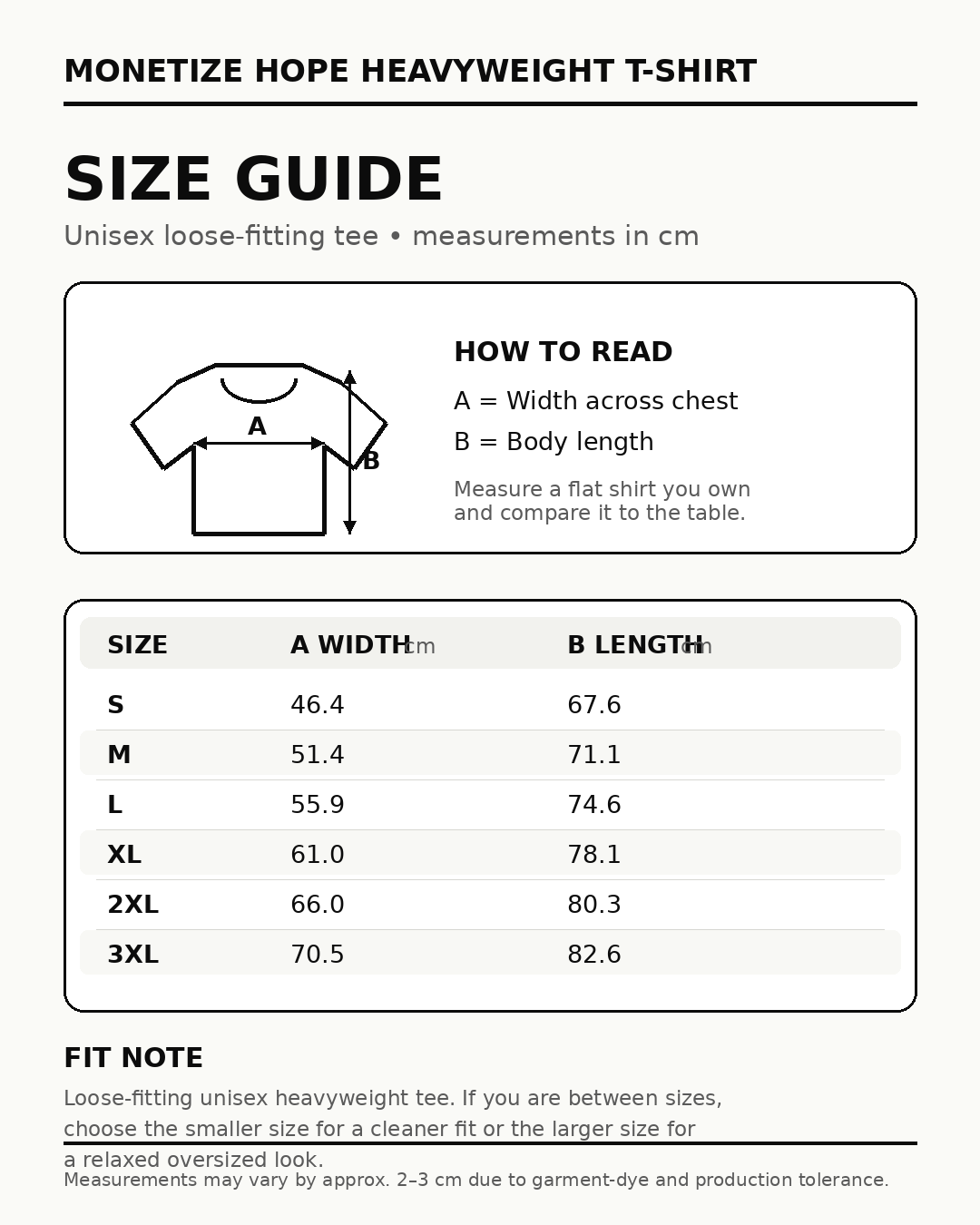 Size guide for Monetize Hope Heavyweight T-shirt with measurements in centimeters.